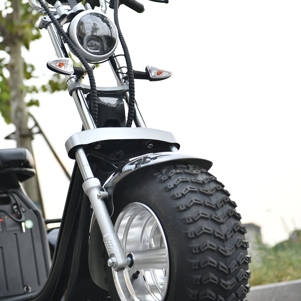 Adult Electric 3 Wheel Scooter 2000W Motor Max Speed 35-45KM/H Max Load 250KG 18 Inch Off road Fat Tire Electric Scooter.